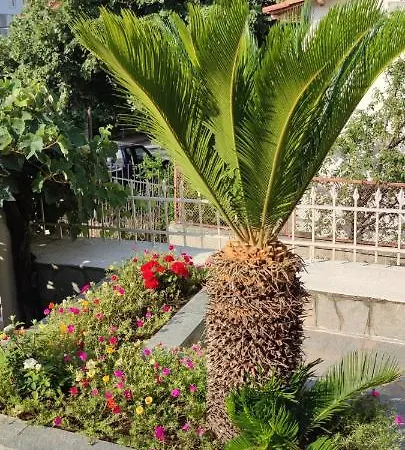 Efthimis Apartment