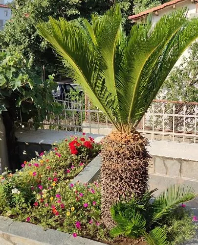 Efthimis Appartement